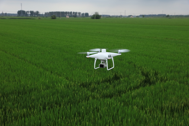 DJI Phantom P4 Multispectral Outdoor Agrar-Drohne